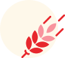 icon2