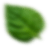 revslider h2 leaf 1